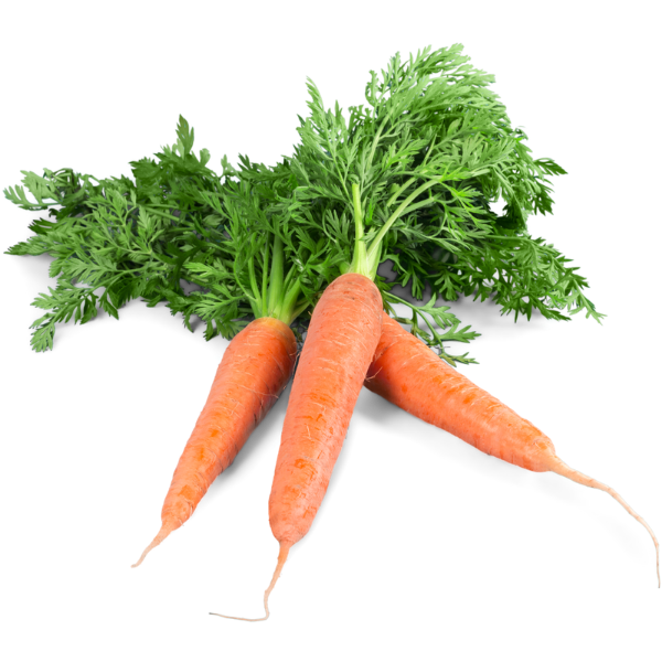 Gajar – Carrot (गाजर)